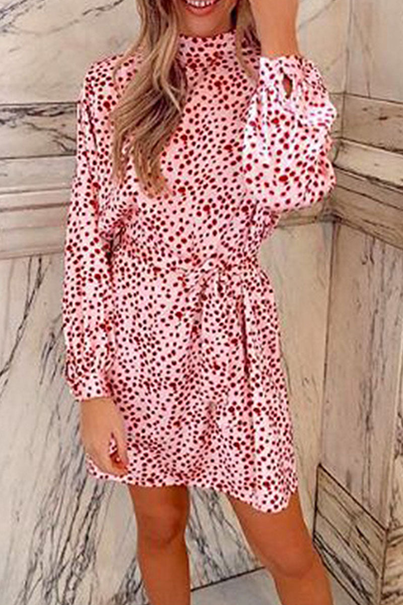 Fashion Street Print Turtleneck A Line Dresses