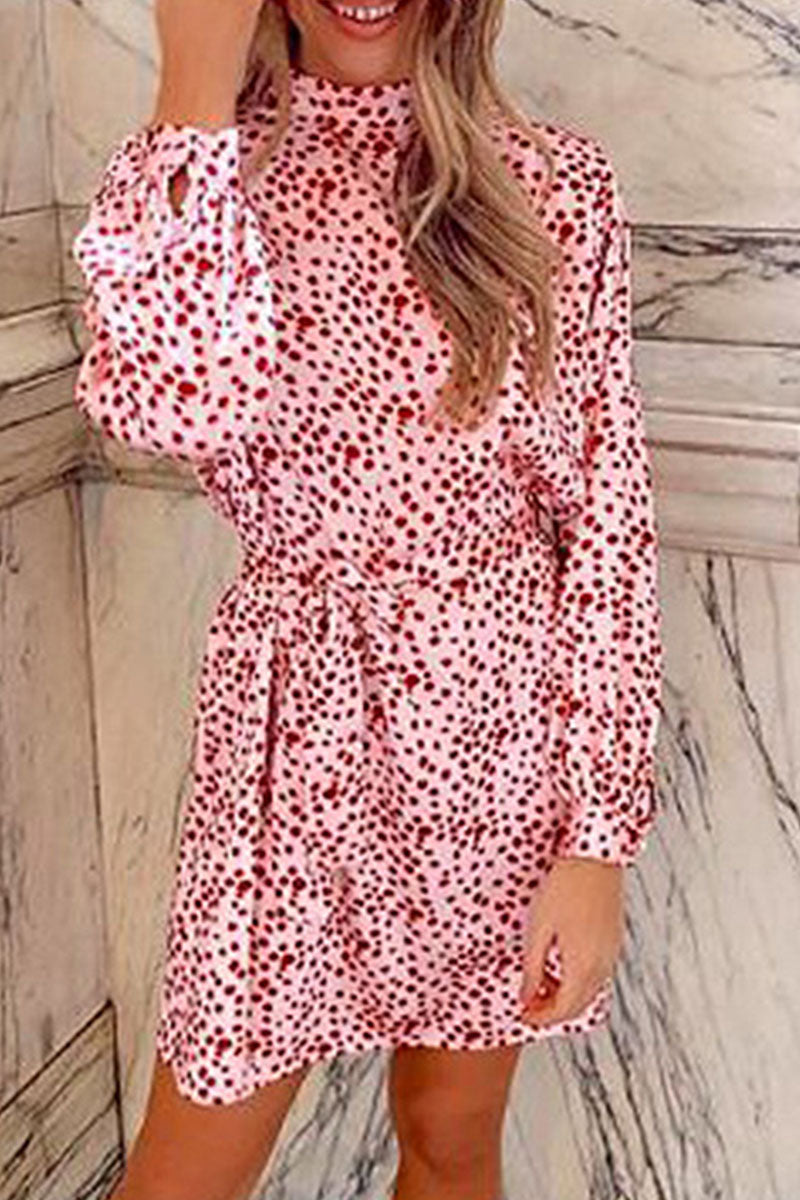 Fashion Street Print Turtleneck A Line Dresses