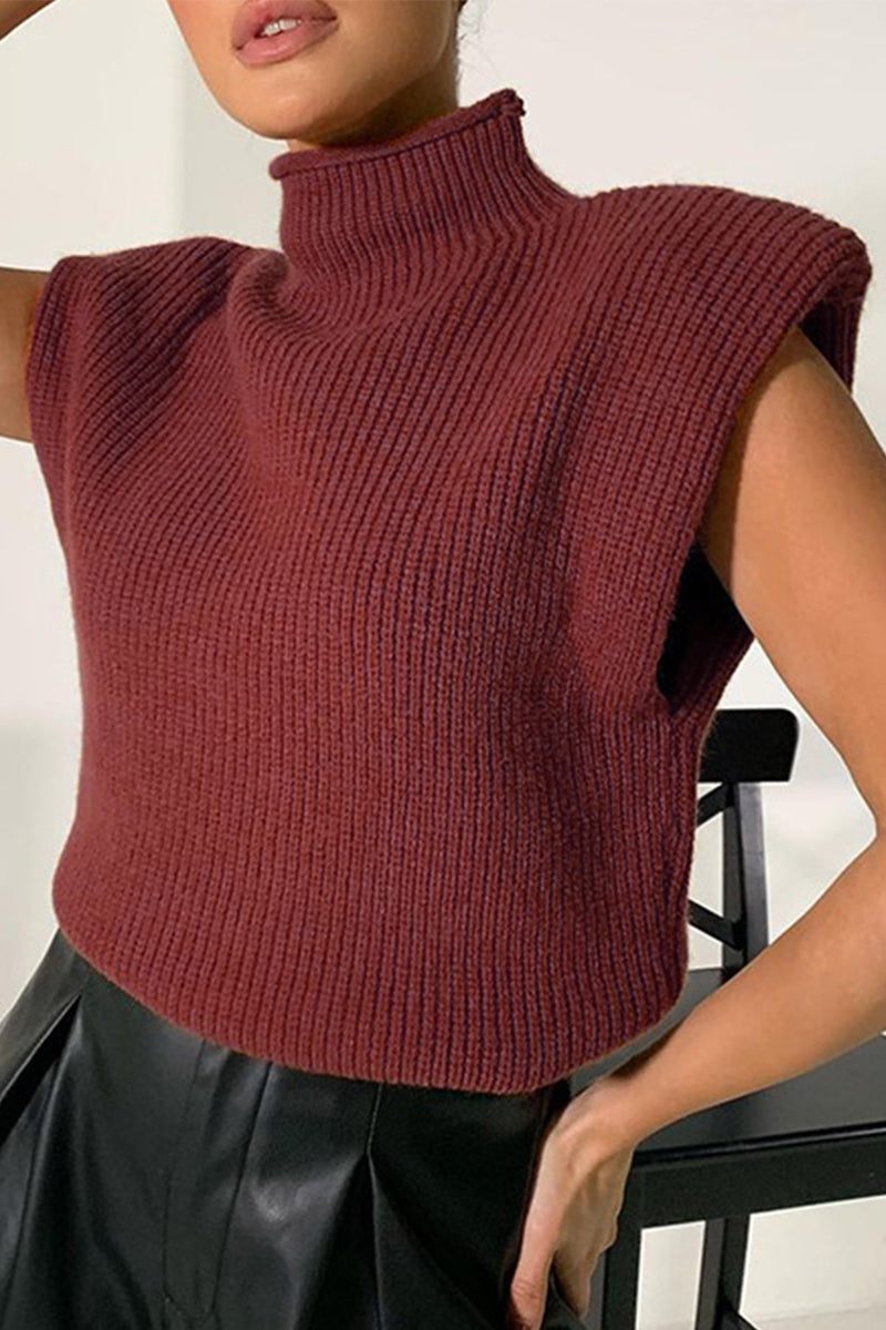 Casual Solid Turtleneck Sweaters (8 Colors)
