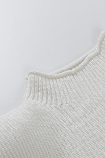 Casual Solid Turtleneck Sweaters (8 Colors)